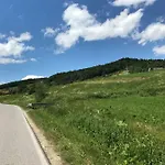 Malinowy