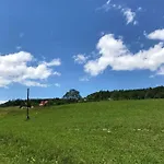 农家乐 Malinowy Mlynczyska