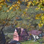 农家乐 Malinowy Mlynczyska