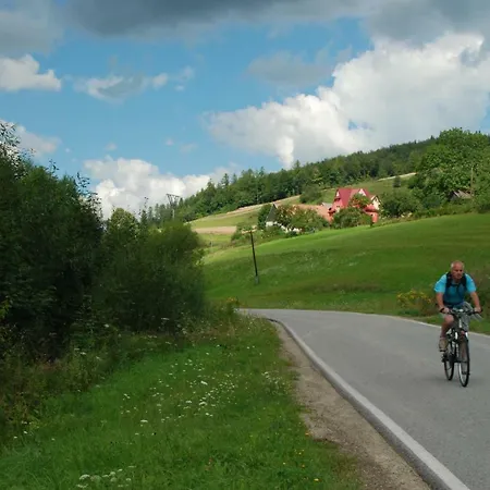 Malinowy 팜스테이 Mlynczyska