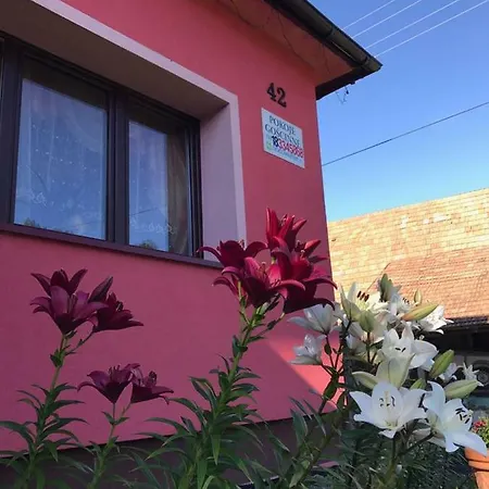 Alloggio per agriturismo Malinowy