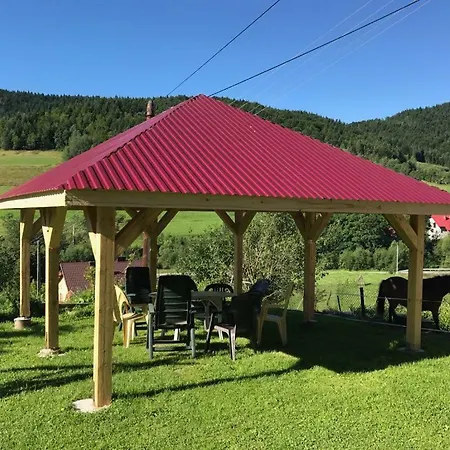 Alloggio per agriturismo Malinowy Mlynczyska