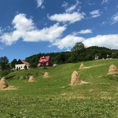 Malinowy * Mlynczyska