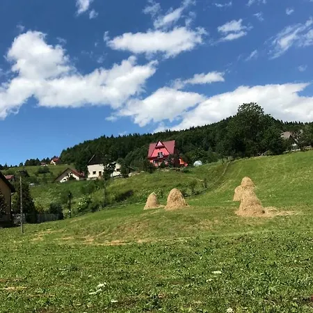Malinowy * Mlynczyska