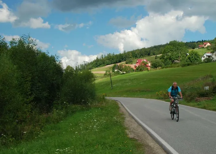 Malinowy Farmház Młyńczyska