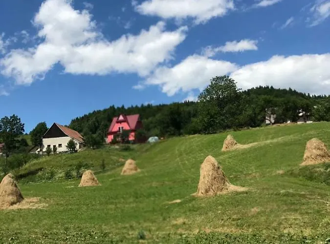 Malinowy * Młyńczyska