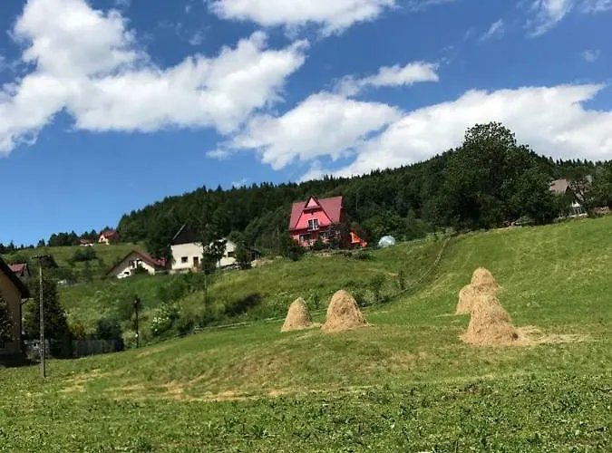 Malinowy * Młyńczyska